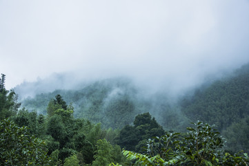 什么是变色龙？